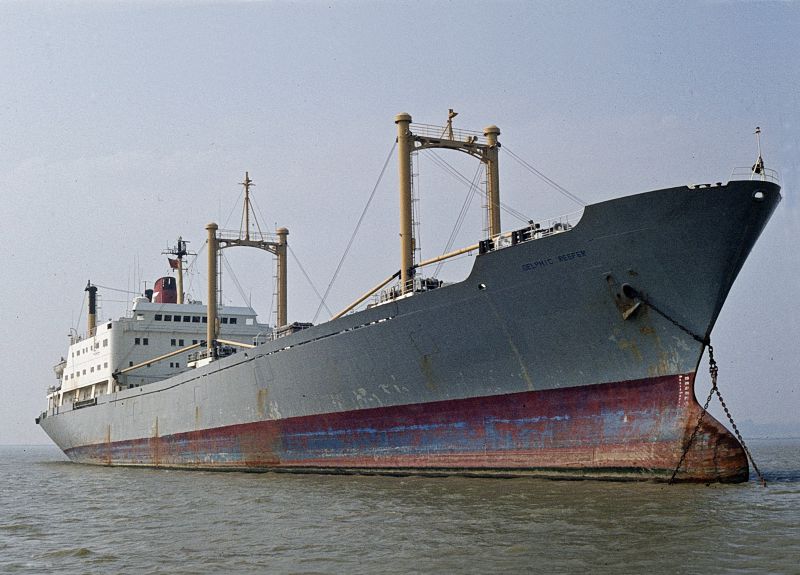 DELPHIC REEFER laid up in the River Blackwater. Date: 5 September 1982.